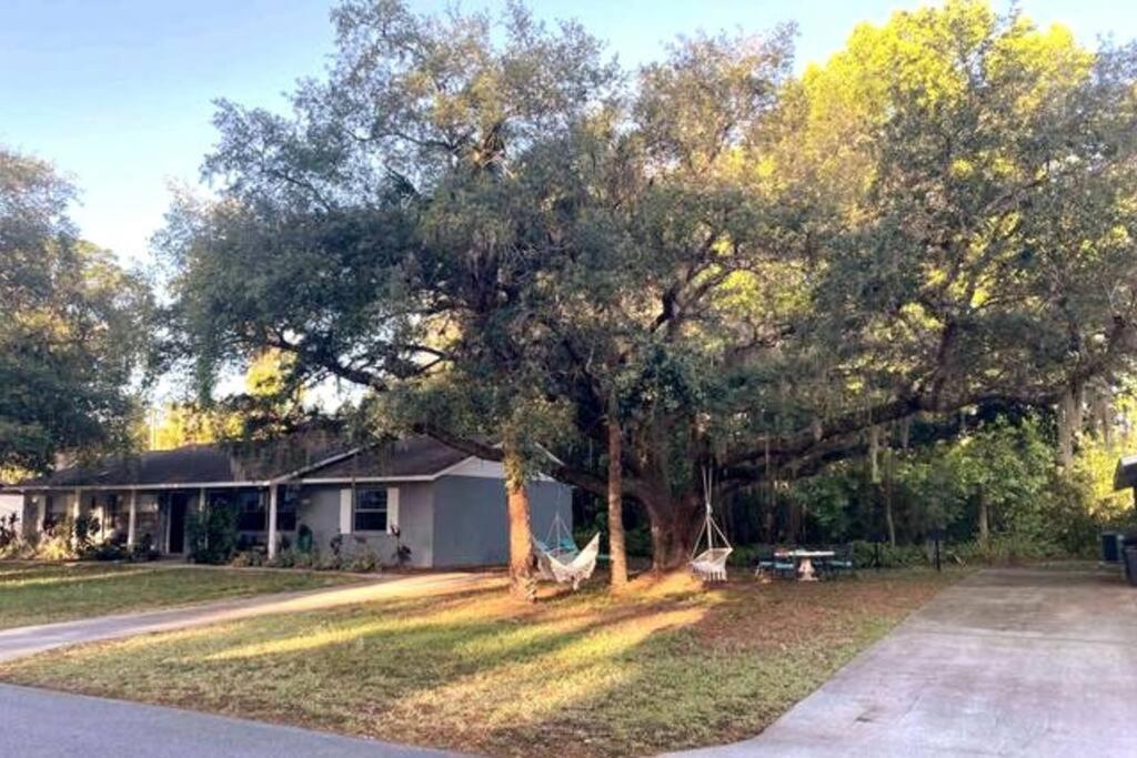 Nature Coast Getaway #1 - Cozy 2 Bedroom 霍莫萨萨 外观 照片